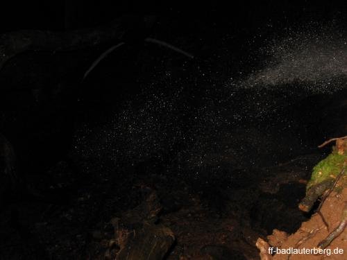 2011_06_02 Waldbrand Kummel Richtung Bismarkturm 17